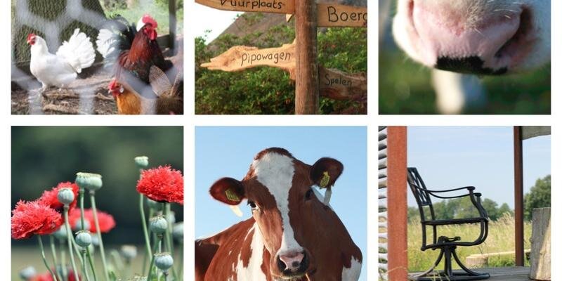 de Kleine Wildenberg banner