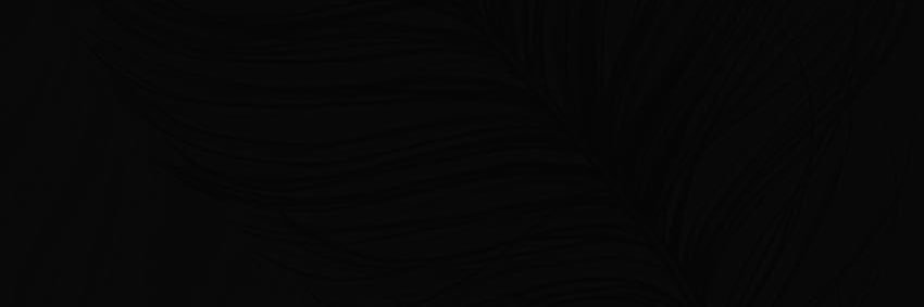 かねちゃ📷 banner