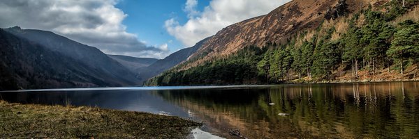 Fiona Timmins Profile Banner