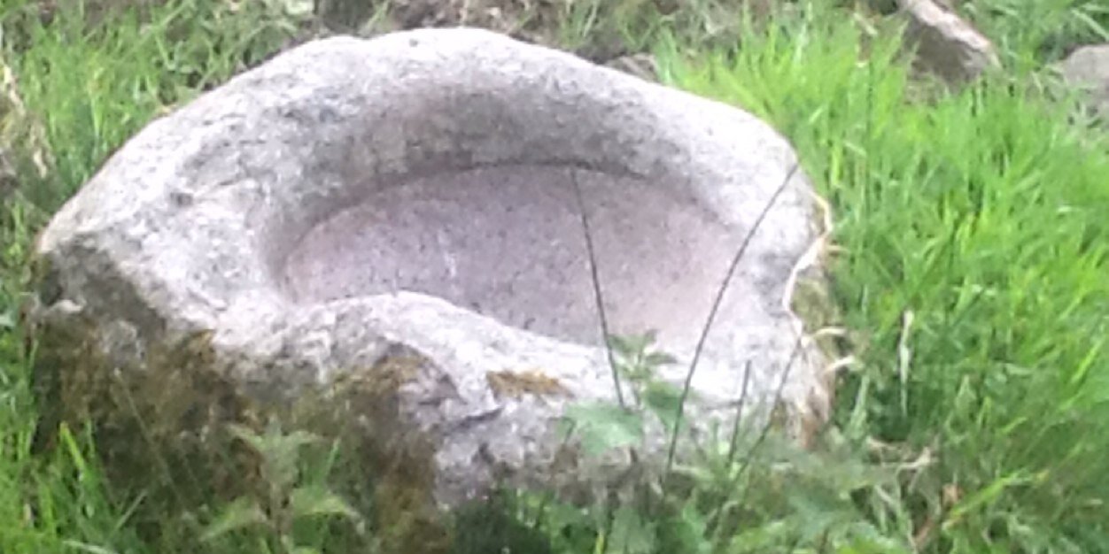 nolan_daragh's profile banner image