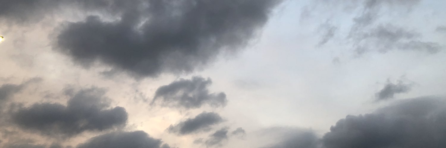 rita_roxx's profile banner image