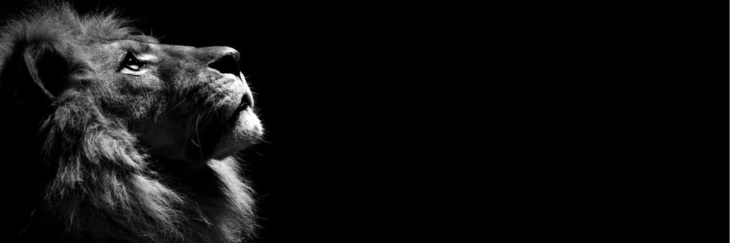 MMGMack's profile banner image