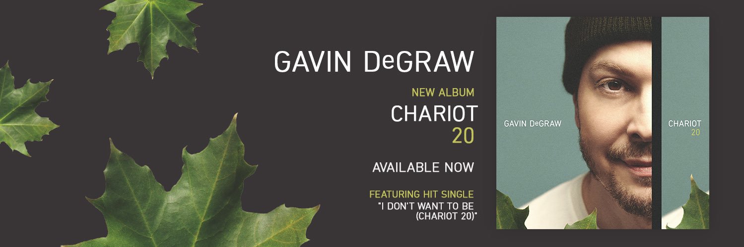 Gavin DeGraw banner