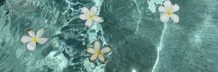ximedlp's profile banner image