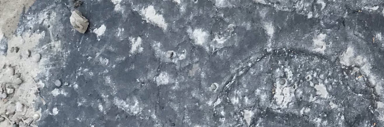 PayneKillxr's profile banner image