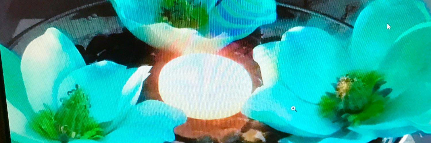 LisaWade3's profile banner image