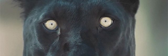 _53098's profile banner image