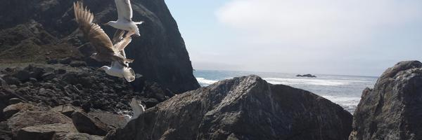 McMullenJM Profile Banner