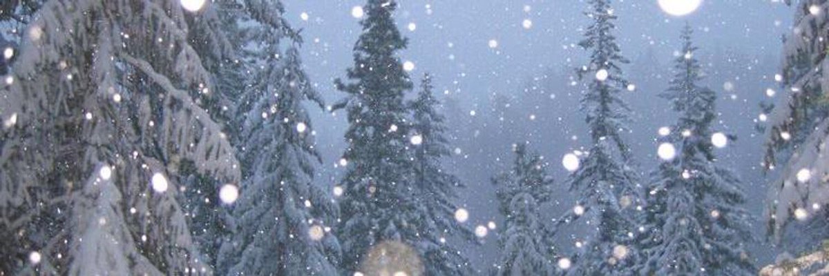 aka_Snowy's profile banner image