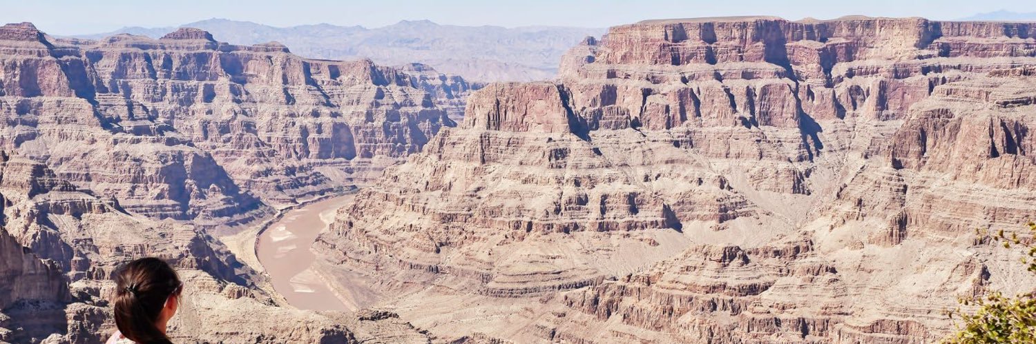 Narin Suleyman banner