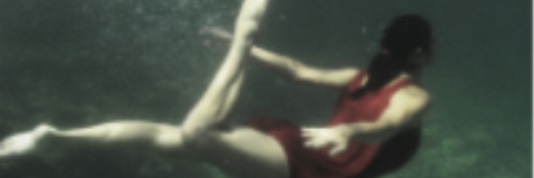 silvana_misia's profile banner image