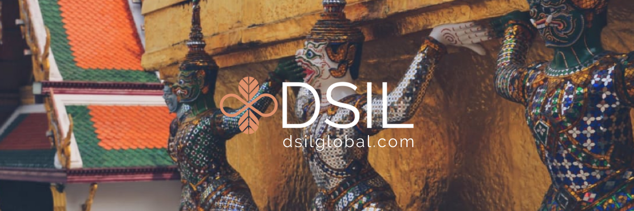 DSIL Global banner