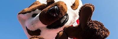 kellygradel's profile banner image