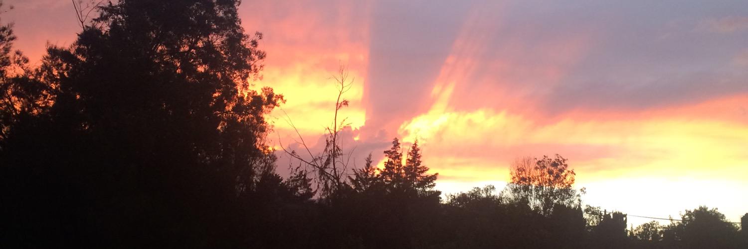 LongDistanceRsp's profile banner image