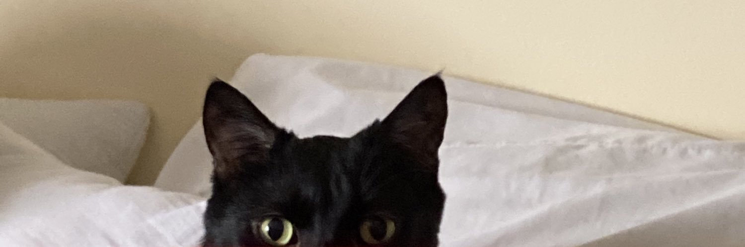 yelkreb's profile banner image