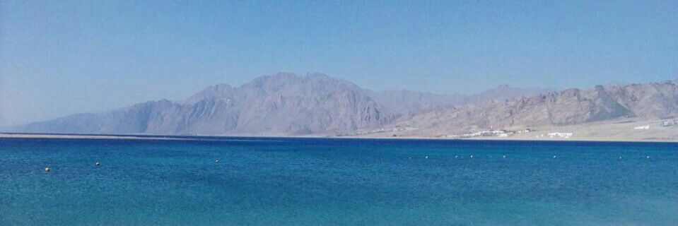nayerarida93's profile banner image