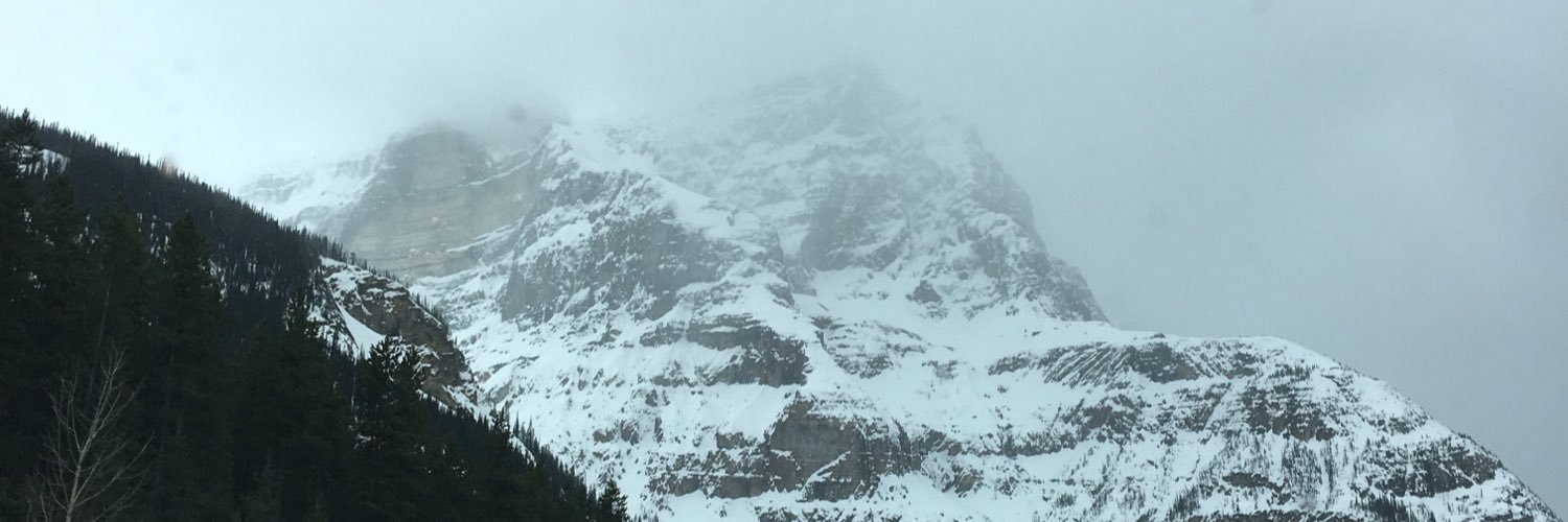 Taylor banner