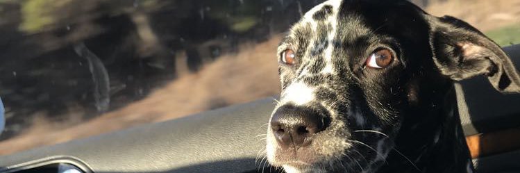 ChazzChaz's profile banner image