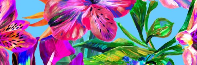 VSangelDestiny's profile banner image