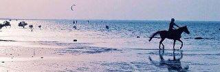 Badr_wwm's profile banner image