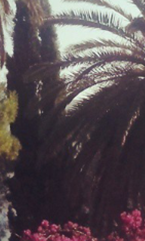 Hranu_volim's profile banner image