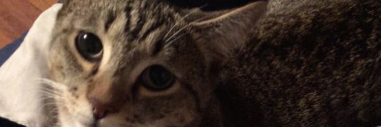 Carney314's profile banner image