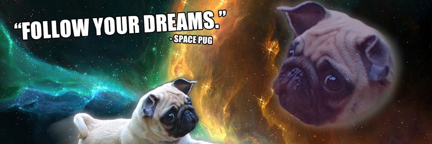 Mus_'s profile banner image