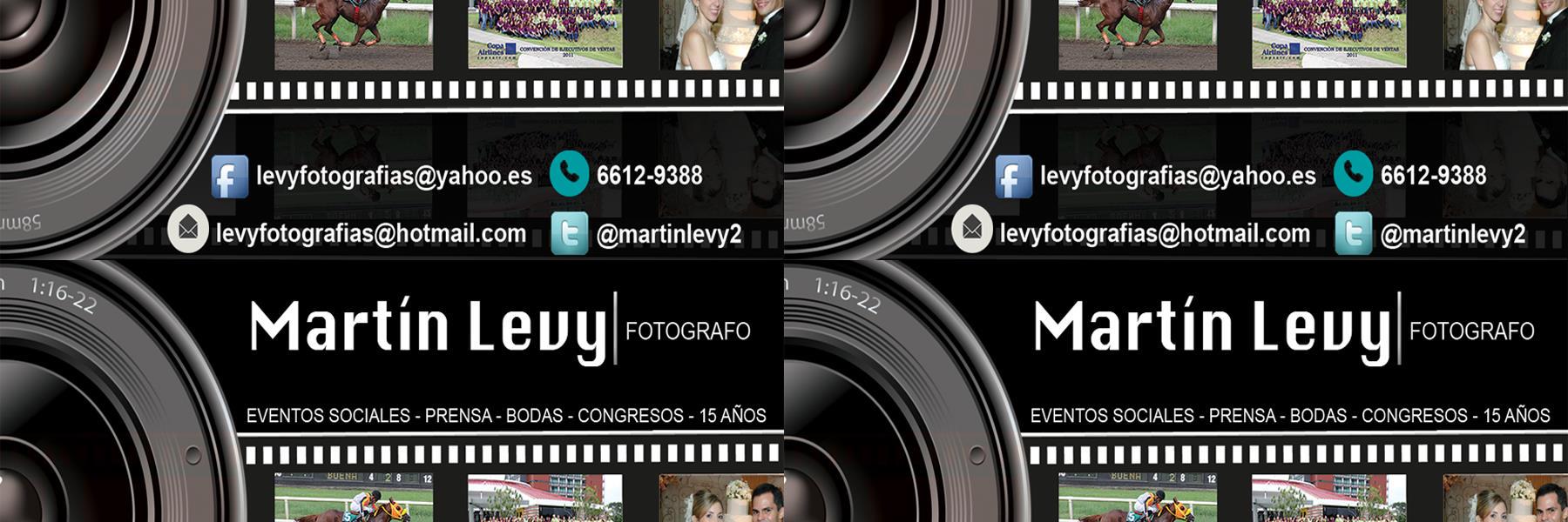 MARTIN LEVY banner