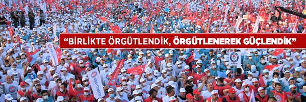 _aliyalcin_ Profile Banner