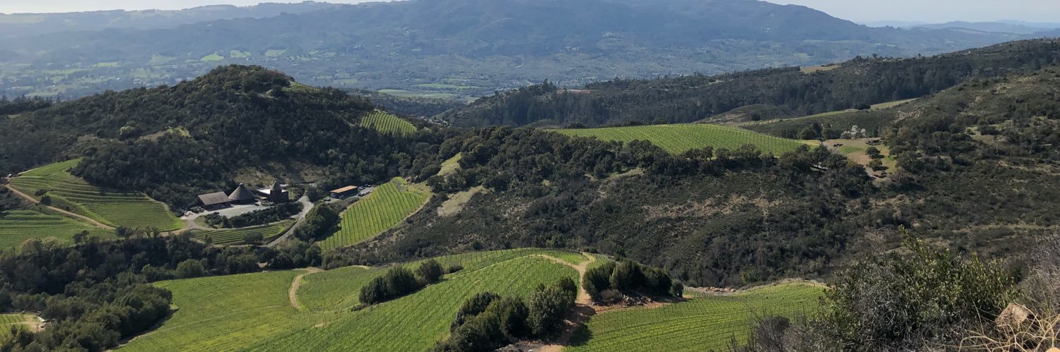 elreydesol's profile banner image
