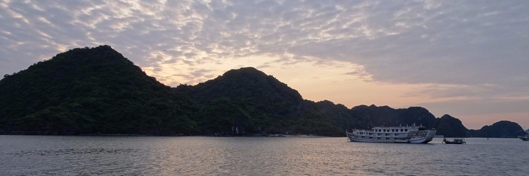 Machteld Vandecandelaere banner