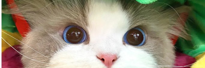 samzzyjay's profile banner image