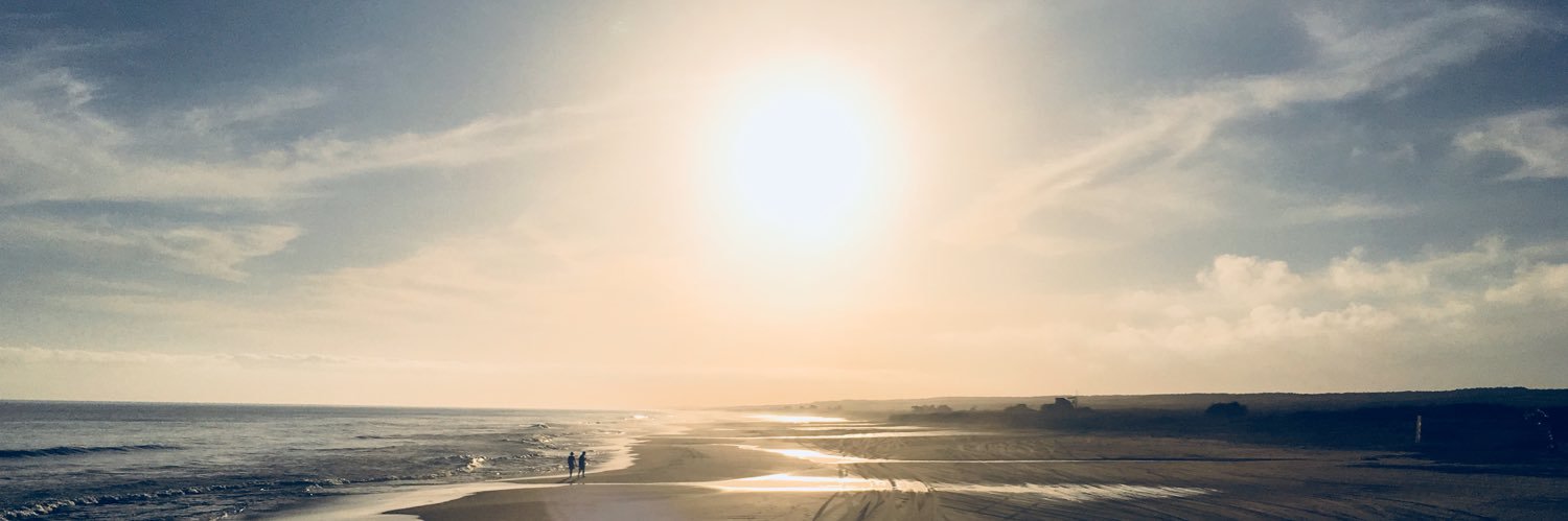 pbsander's profile banner image