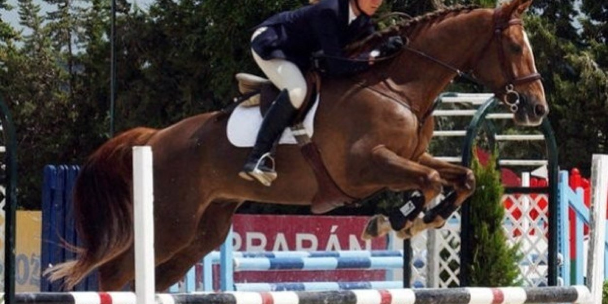 PaulaGargallo's profile banner image