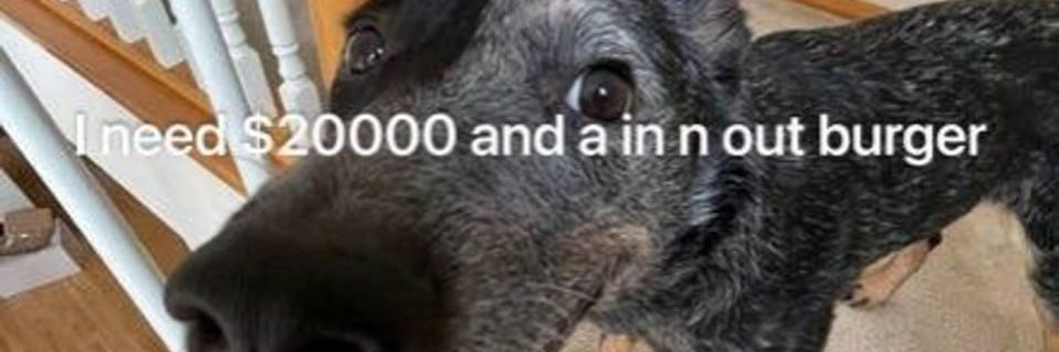 _boner__'s profile banner image