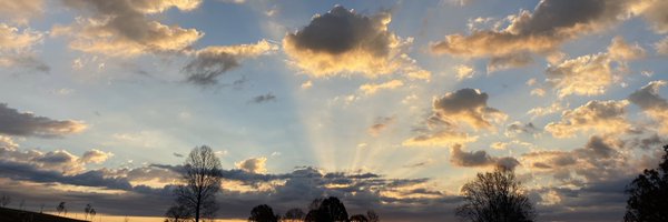 GirlRunsTrail Profile Banner
