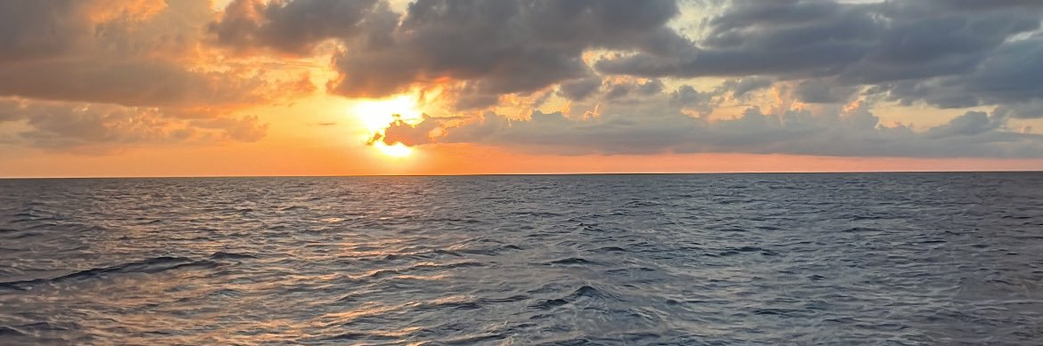 PapiCheekote's profile banner image