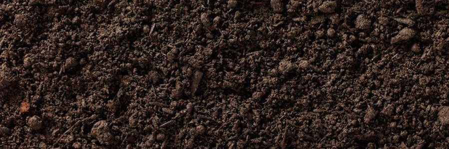 jmnadie's profile banner image