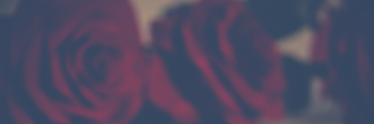Mafer banner