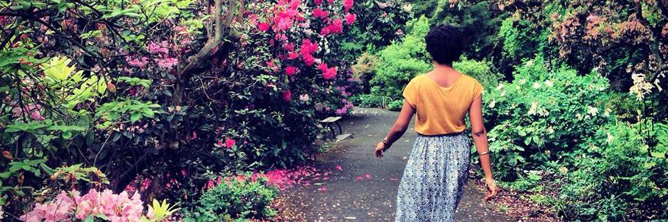 phd_ante's profile banner image