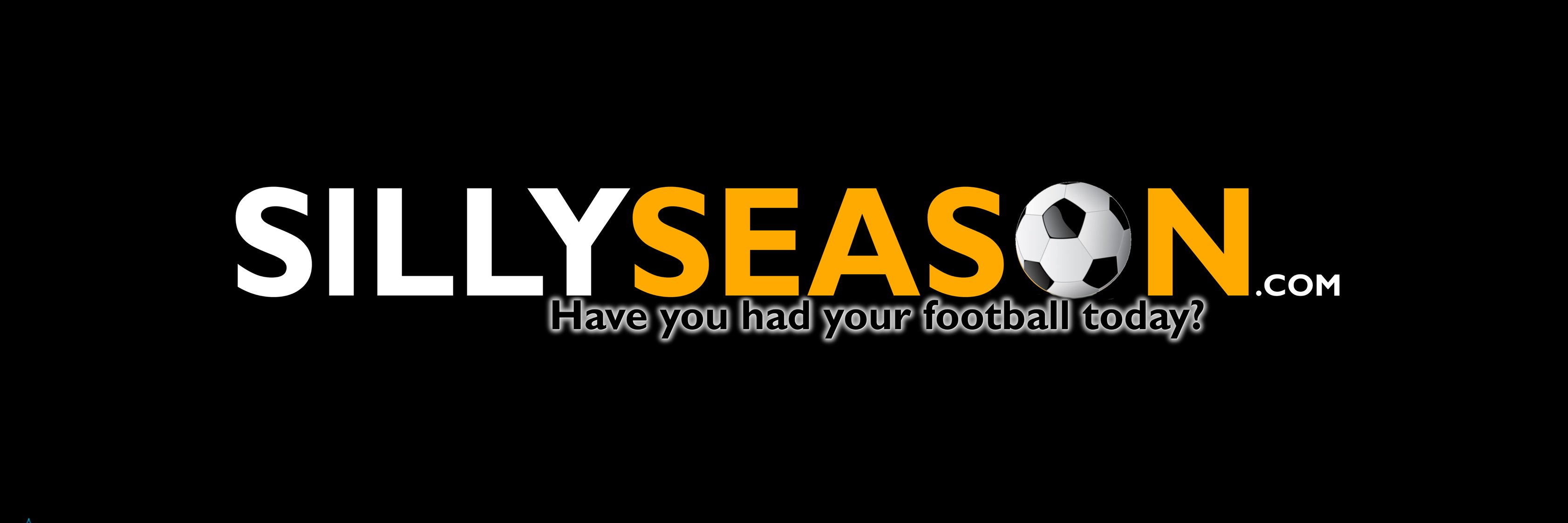SillySeason's profile banner image