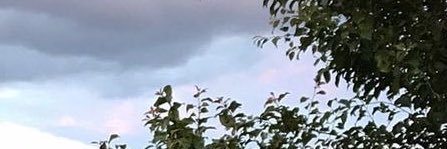 wlwflores's profile banner image