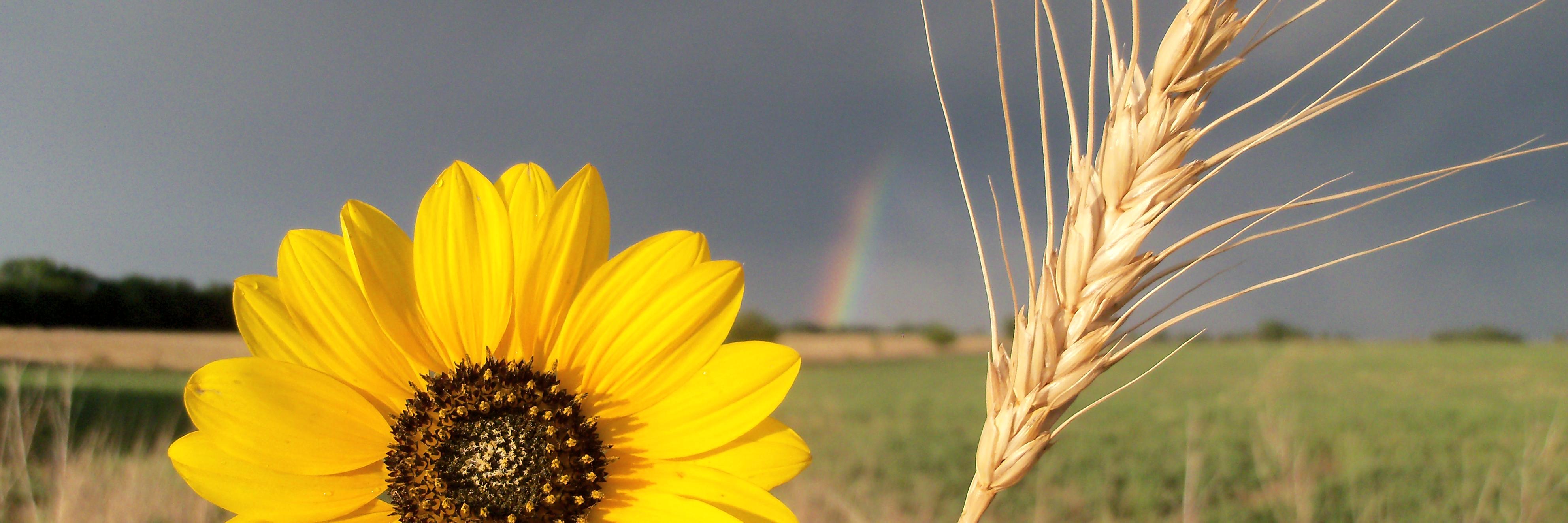 KimFritzemeier's profile banner image