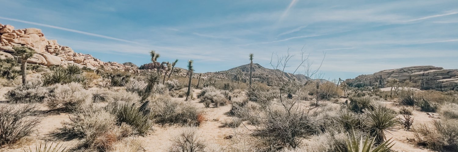 jerylmonster's profile banner image