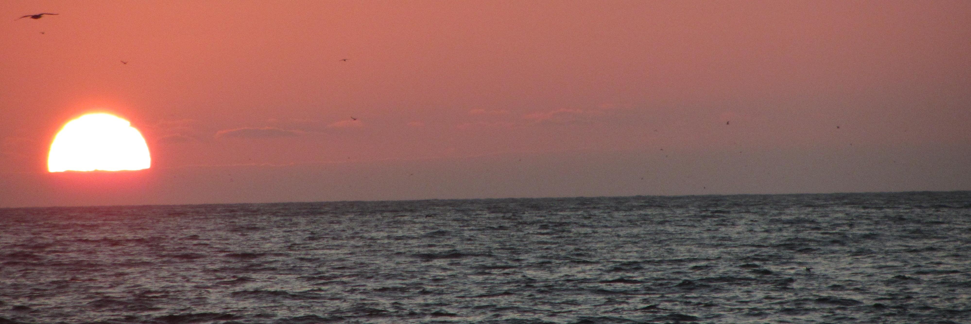 robertoperezb's profile banner image
