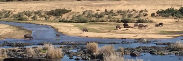 lisa_everton Profile Banner