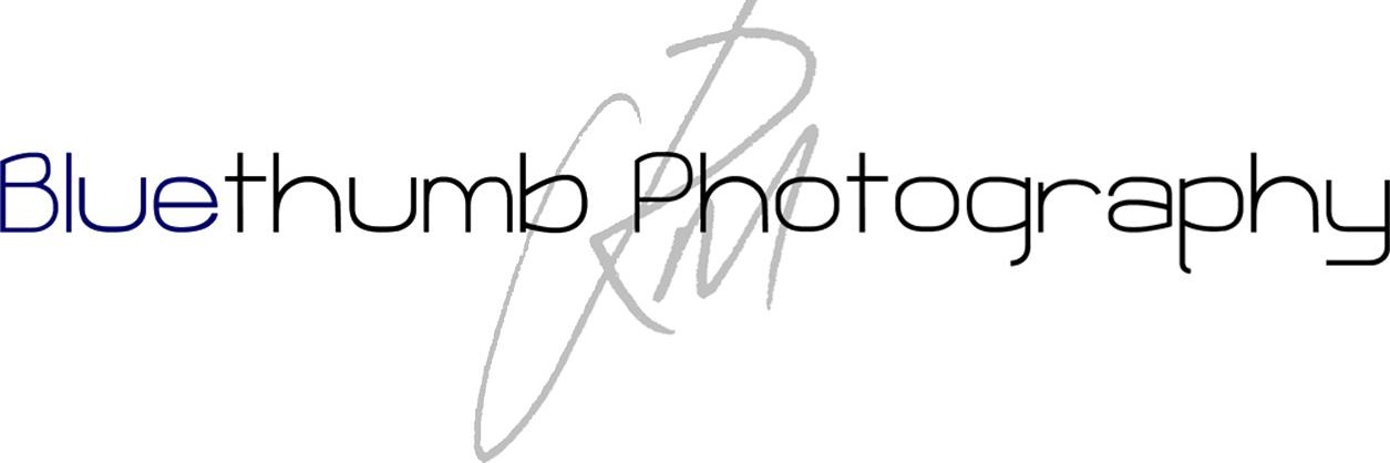BluethumbPhoto's profile banner image