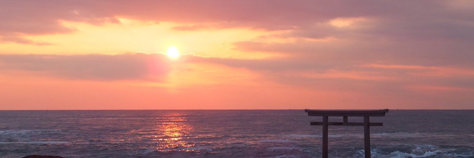miya259's profile banner image