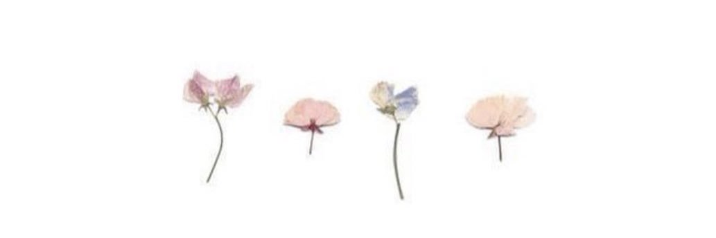 abbielynn_'s profile banner image