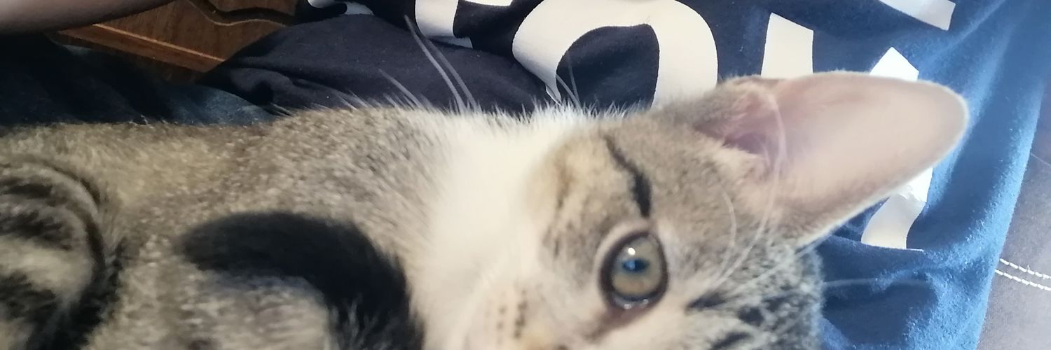 brendagastaldi's profile banner image